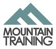 Mt Logo